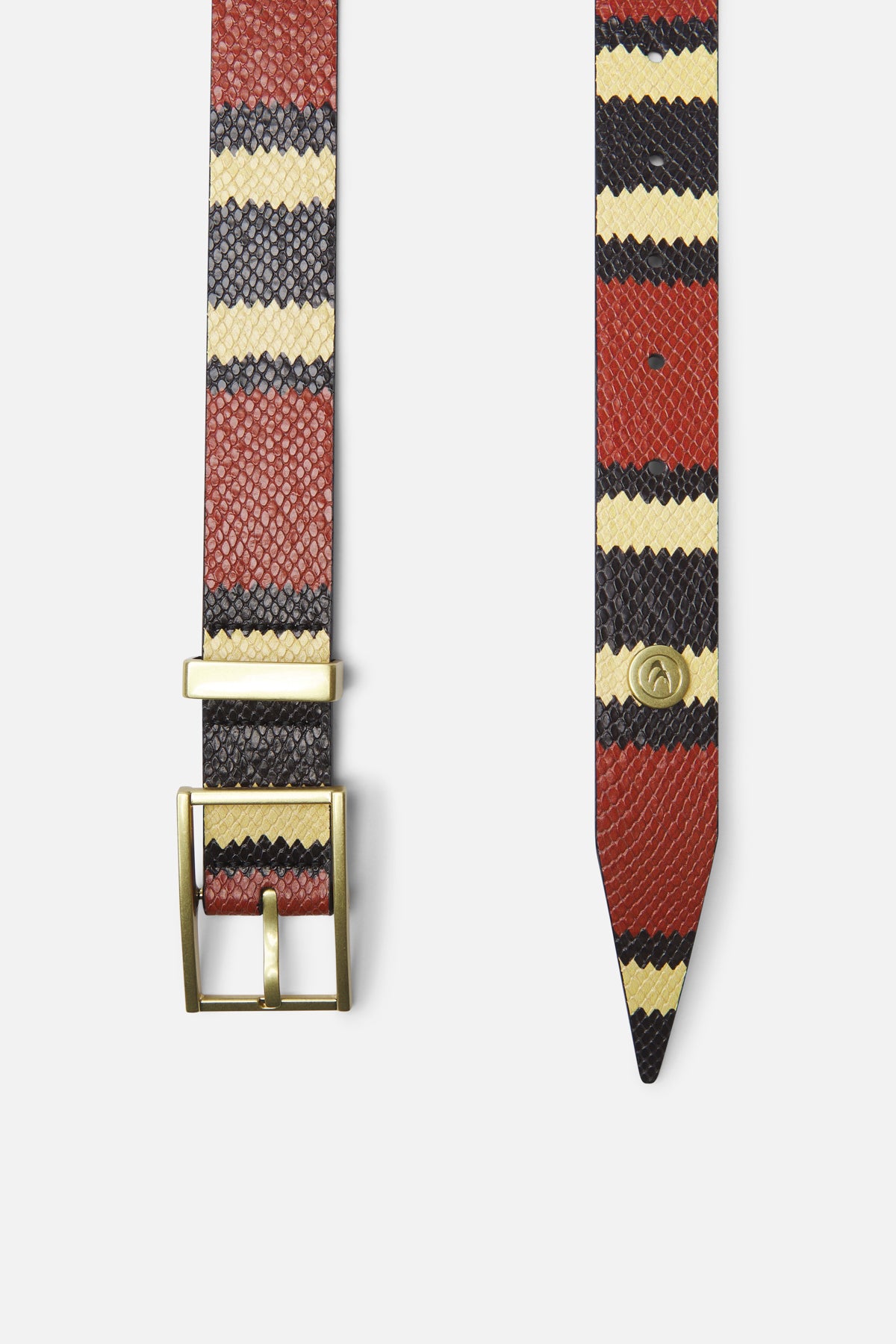 King Snake Red Belt