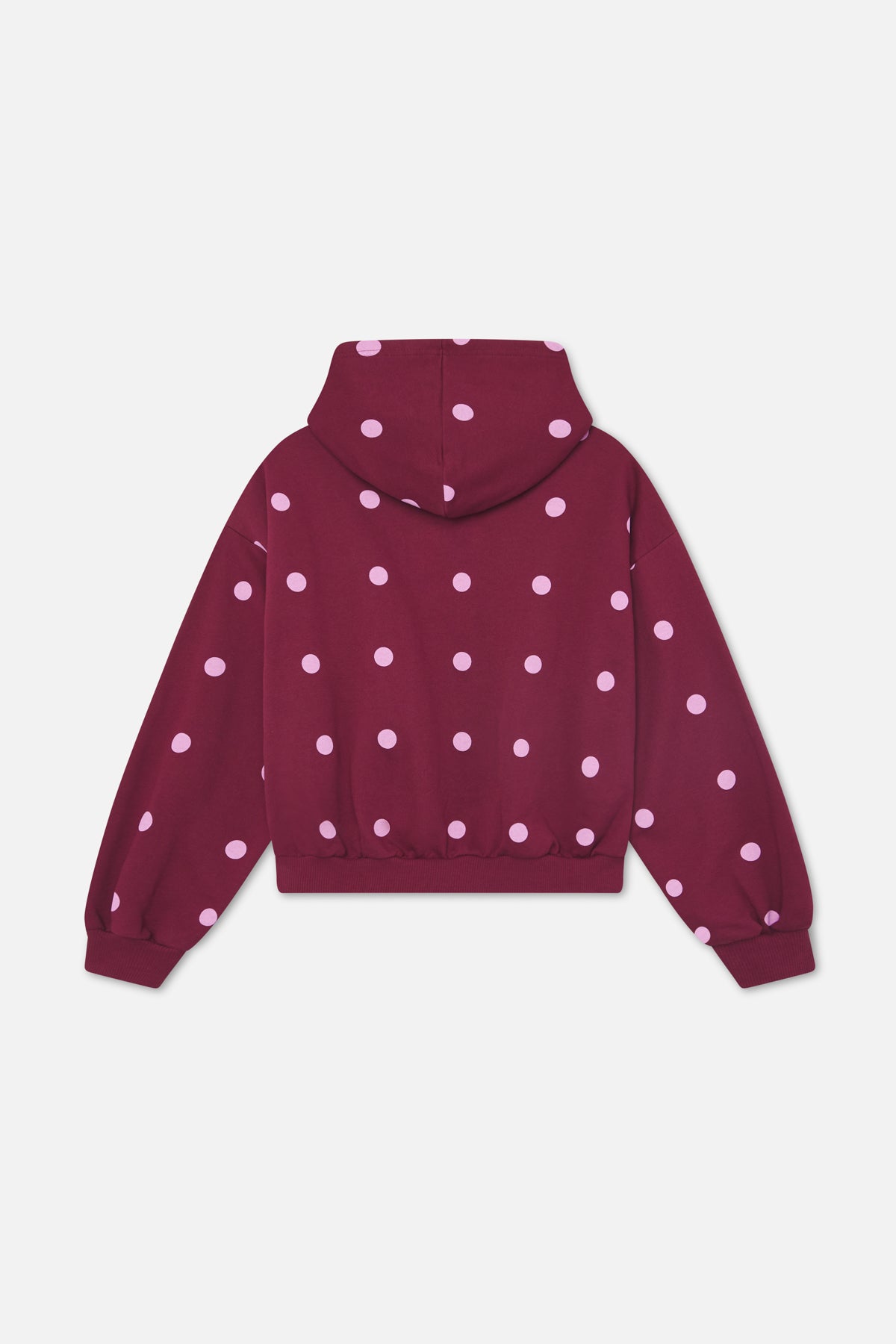 Dots Burgundy Zipper