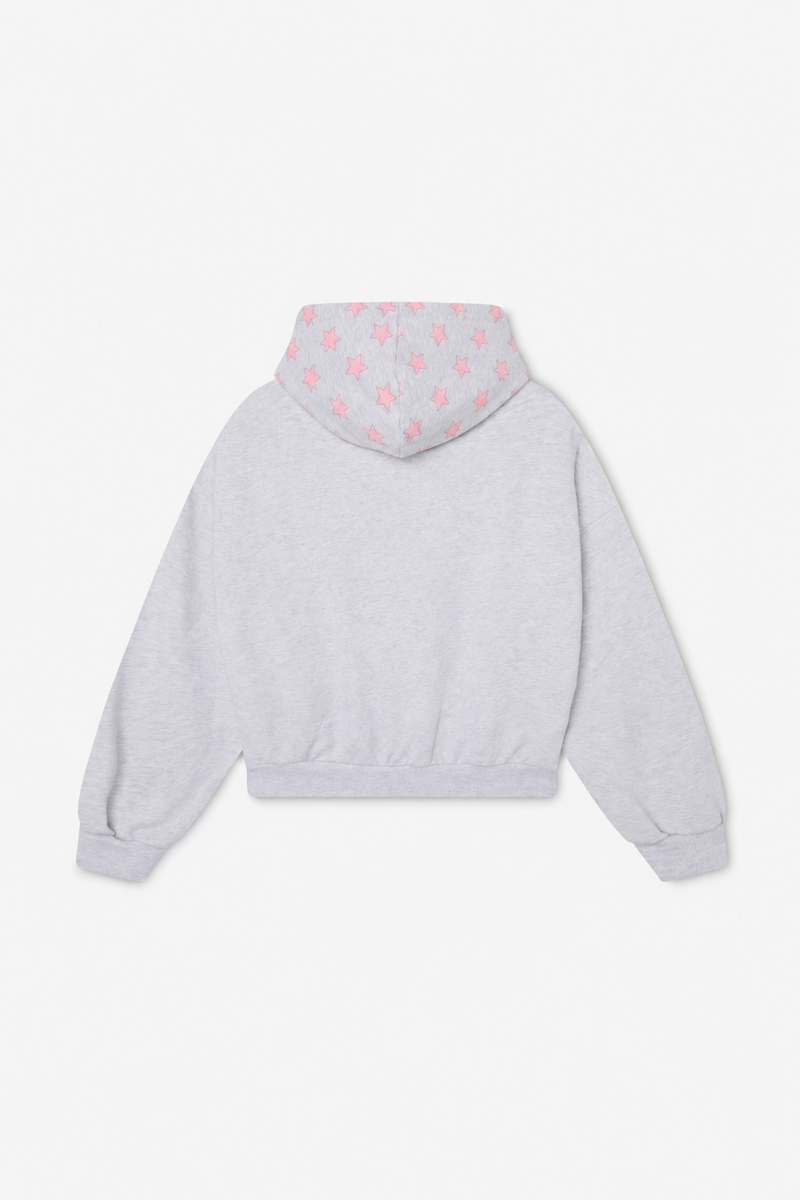 Raw Pop Grey Melange Hoodie