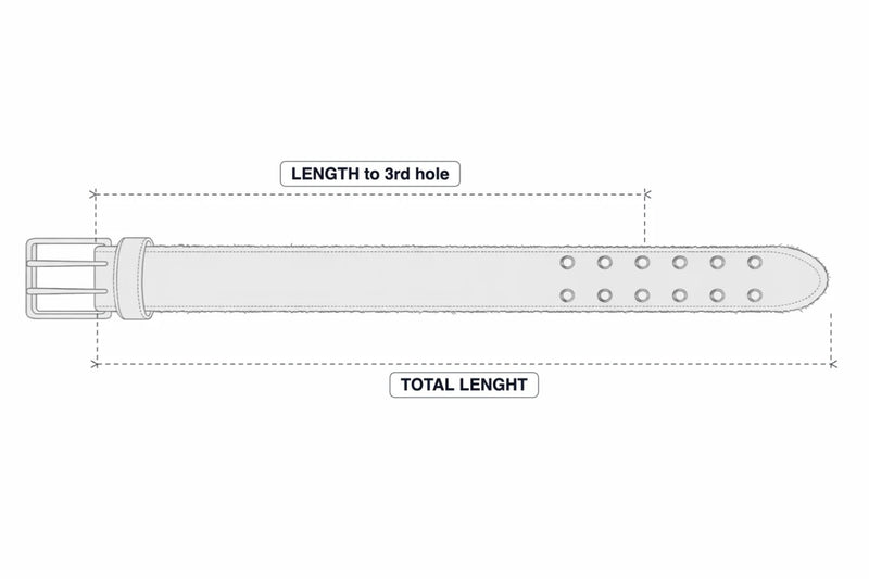 Shinny Dark Iconic Belt